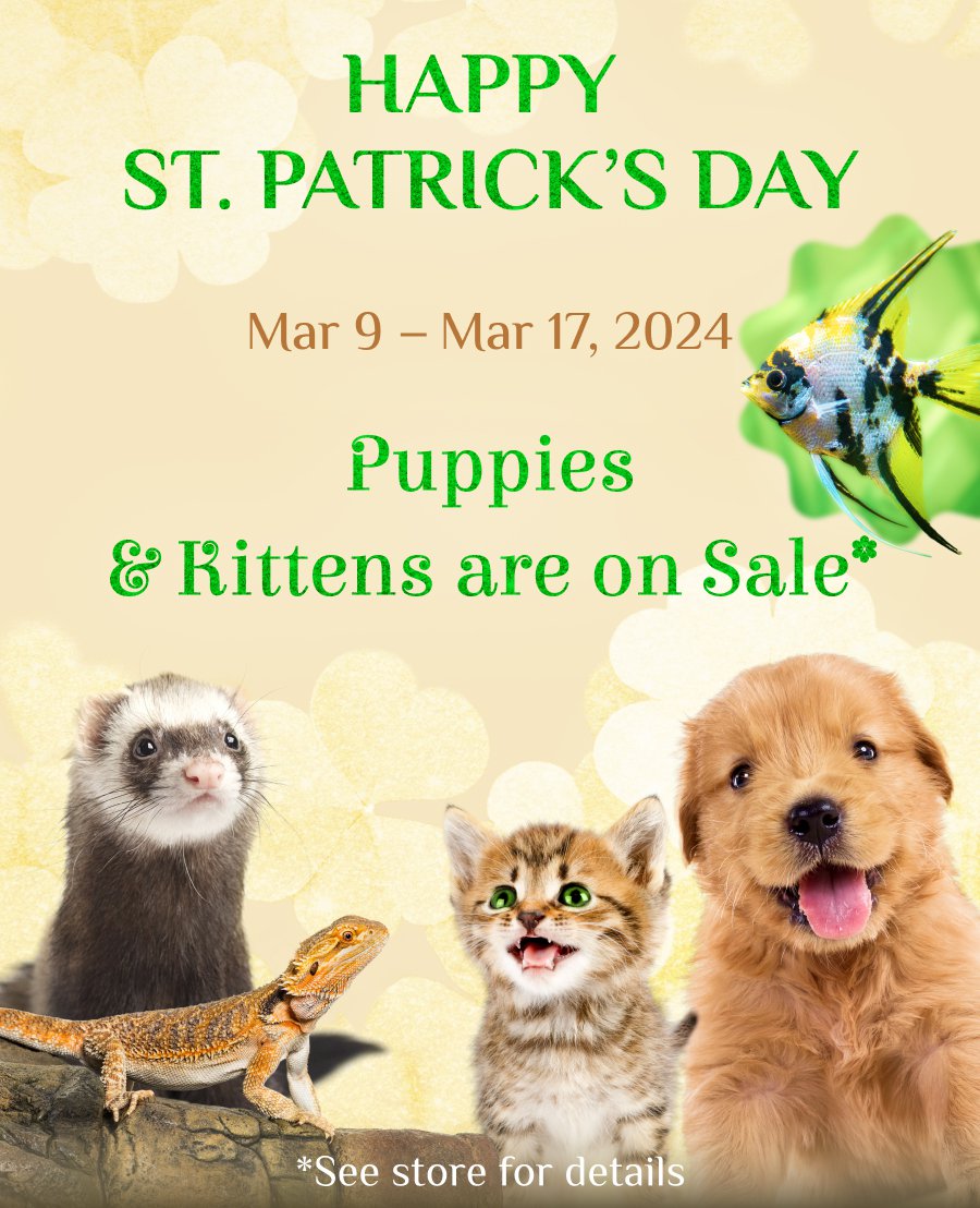 Pets Plus